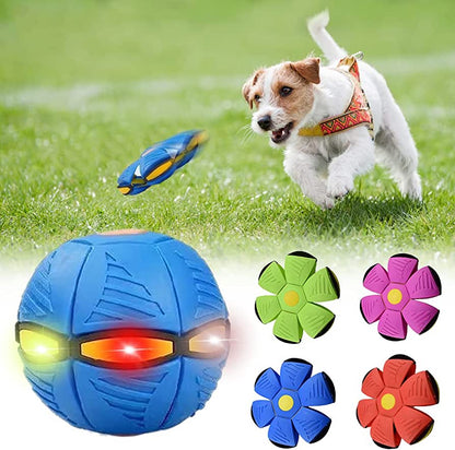 Purr & Fetch™ Dog Frisbee
