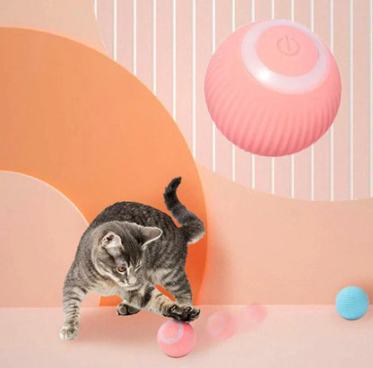 Purr & Fetch™ Interactive Ball