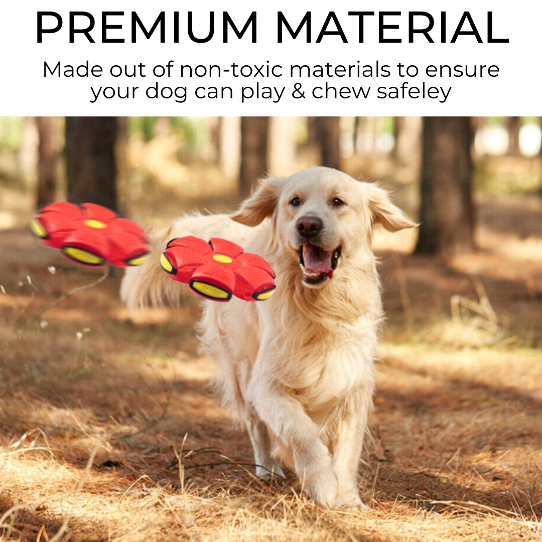 Purr & Fetch™ Dog Frisbee