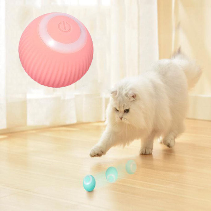 Purr & Fetch™ Interactive Ball